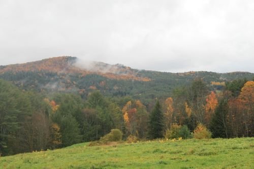 IMG_9248